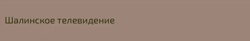 Шалинское телевидение